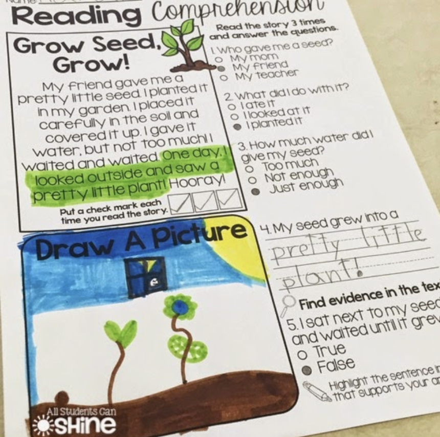 a reading comprehension sheet with a passage, drawing box and questions to practice fluency and comprehension in K-1